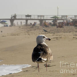 Ocean Grove NJ by Jeff Ross