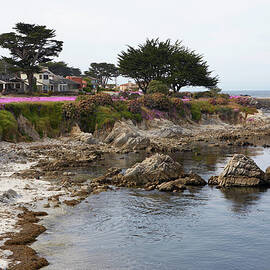 Ocean View Of Lovers Point In Montery by Jason Todd