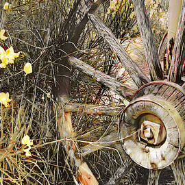 Old Wagon Wheel by Pennie McCracken - Endless Skys