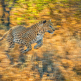 On The Run by Jeffrey C. Sink