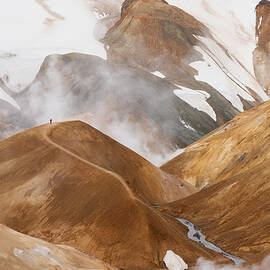On The Trail by James Cai