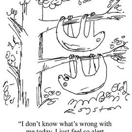 One Sloth To Another Sloth 'i Don't Know What's Wrong by Royston Robertson
