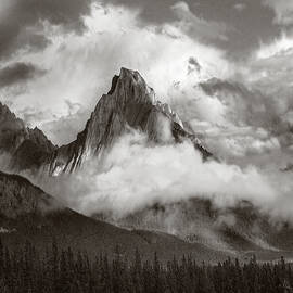 Opal Range Surrounded By Fog Alberta by Tim Fitzharris