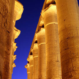 Open Papyrus Columns At Luxor Temple by Joe & Clair Carnegie / Libyan Soup
