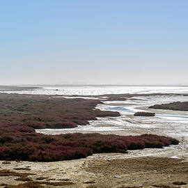 Orange River Wetlands And Greater by Roger De La Harpe