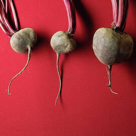Organic Beets by Monica Rodriguez