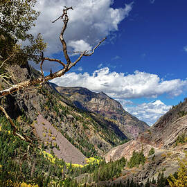 Ouray Overlook by Norma Brandsberg