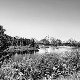 Oxbow Bend, Grand Teton National Park in Black and White by Kay Brewer