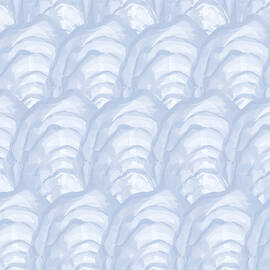 Oyster Shells by Jolly and Dash