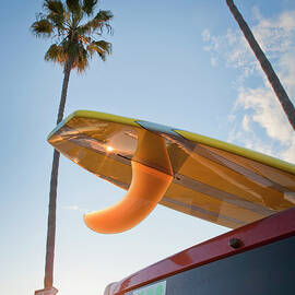 Paddleboard On Top Of Car With Palm by Stephen Simpson