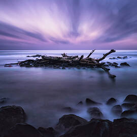 Pastel Tranquility by Jason Roberts