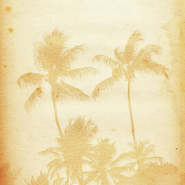 Piece Of Paper With Faded Image Of Palm by Nic taylor