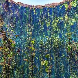 Plant Life Underwater by Giordano Cipriani