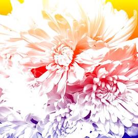 POP ART - One Flower by Miriam Danar