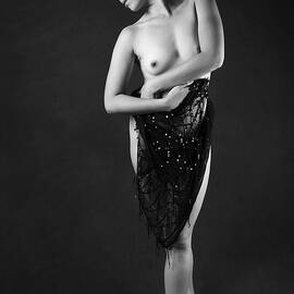 Poised Pose by David Mccracken