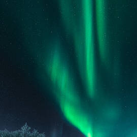 Polar Lights by Haim Rosenfeld