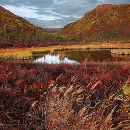 Pond Across From Wonder Lake by Image Courtesy Of Jeffrey D. Walters