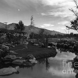 Pool in pleasure park, Manzanar Relocation Center, California, 1943 by Ansel Adams