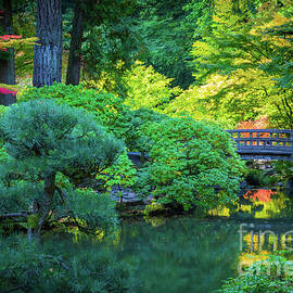 Portland Japanese Pond by Inge Johnsson