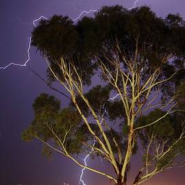 Portrait Of Lightning Striking Around by Neil Overy