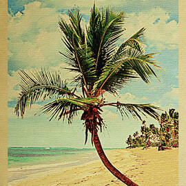 Puerto Vallarta Mexico Palm Tree by Flo Karp