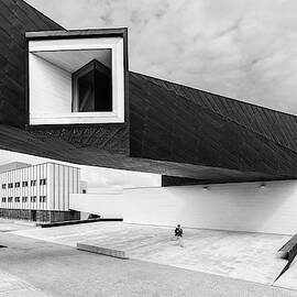 Pulse by Filipe P Neto