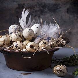 Quail Eggs In Vintage Bowl Lined With Straw And Feathers With Rosemary And Thyme Next To It by Natasha Breen