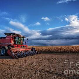 Red Harvester by Christopher Thomas