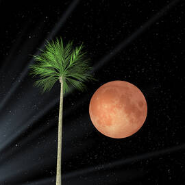Red Moon & Palm by Nikki Georgieva V E G A N I K