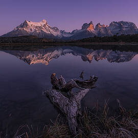 Reflection Of Torres Del Paine by Lydia Jacobs