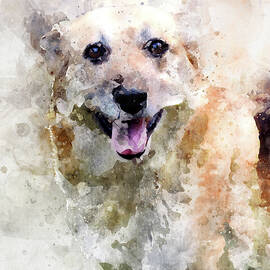 Portrait of happy street dog in the Argentine Patagonia - Watercolor effect by Eduardo Accorinti