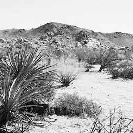 Road Trip Ii Crop by Elizabeth Urquhart