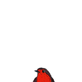 Robin Red Breast by Nicholas