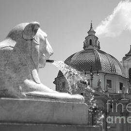 Rome - Piazza del Popolo Black and white by Stefano Senise
