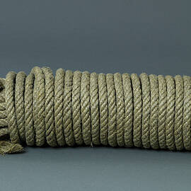 Rope used to hang the Conspirators in the Lincoln Assassination plot by unknown