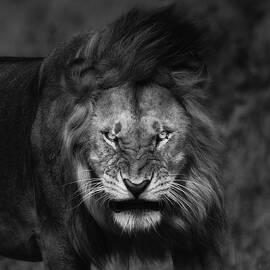 Rough Look by Mohammed Alnaser