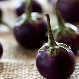 Round Eggplant by By Tika Hapsari Nilmada