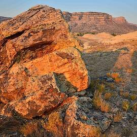 Ruby Mountain 48 by Ray Mathis