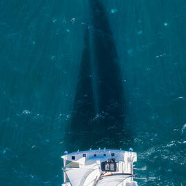 Sail Shadow by Ido Meirovich