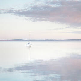 Sailboat In Bellingham Bay Ii by Alan Majchrowicz