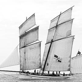 Sailboat "la Granvillaise" by Vincent Demoulin
