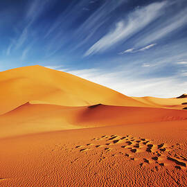 Sand Dunes Of Sahara Desert, Algeria by DPK-Photo
