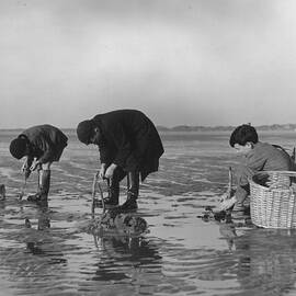 Sand Fishing by Fox Photos