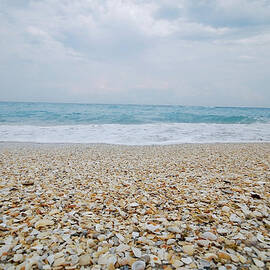 Sea Shells by Sstop