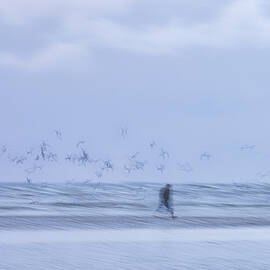 Seafront Promenade by Benjamine Hullot Scalvenzi