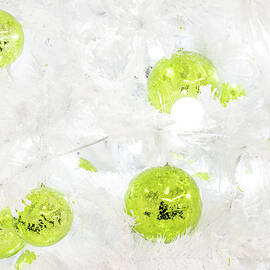 Seasons Greetings - Frosty White with Chartreuse Accents