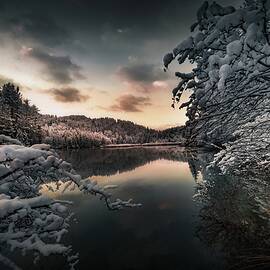 Serenity by Anze Zajc