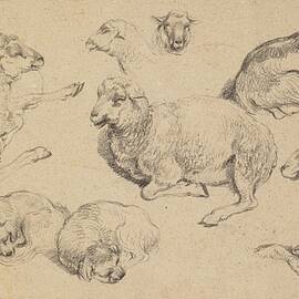Sheet Of Studies With Sheep, Goats, And Dogs by Jean-baptiste Huet