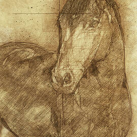 Sketched Horse by Elizabeth Medley