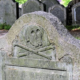 Skull and Crossbones Cemetery Art by Janice Drew
